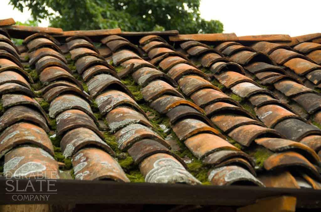 clay roofing tiles with moss header image