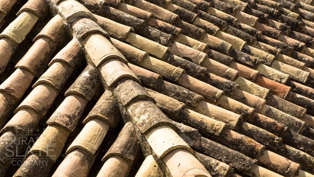 clay roofing tile preservation