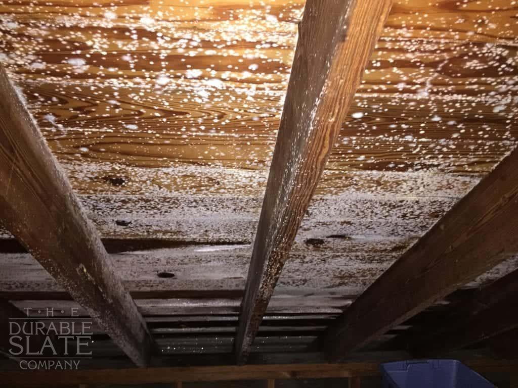 mildew growing in an attic because of a roof leak