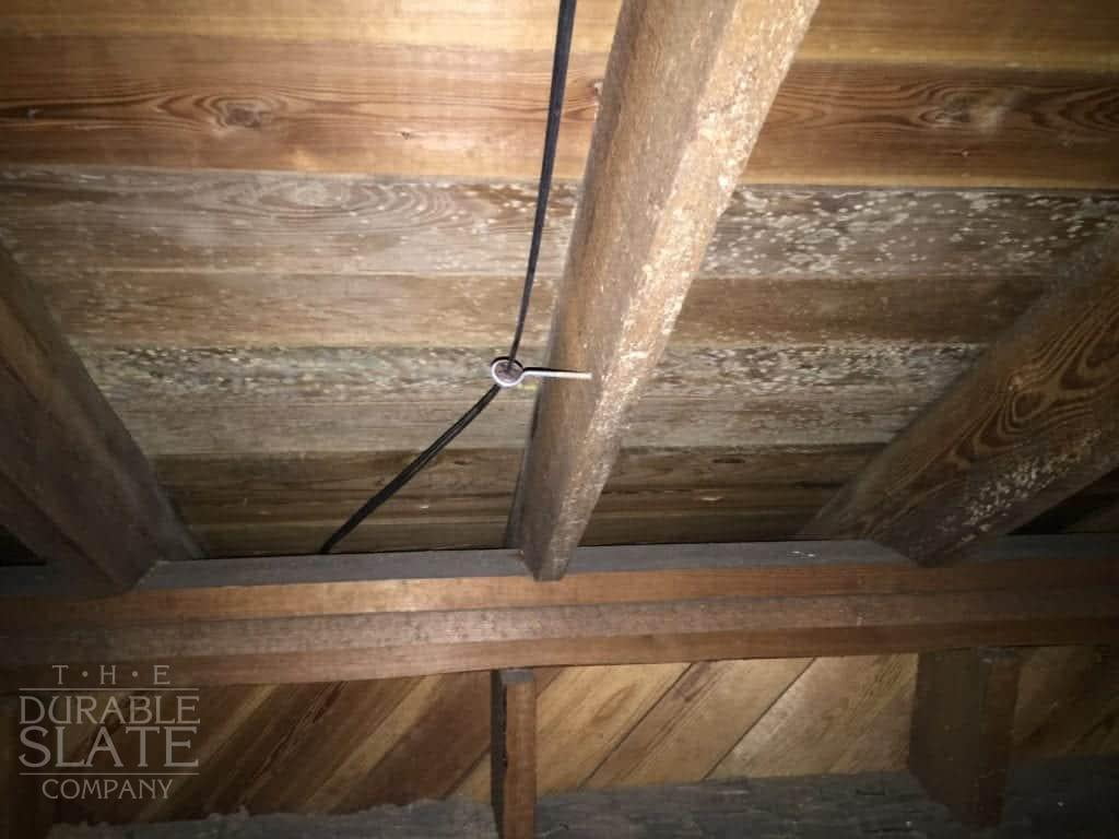 more mildew growing on the underside of a roof