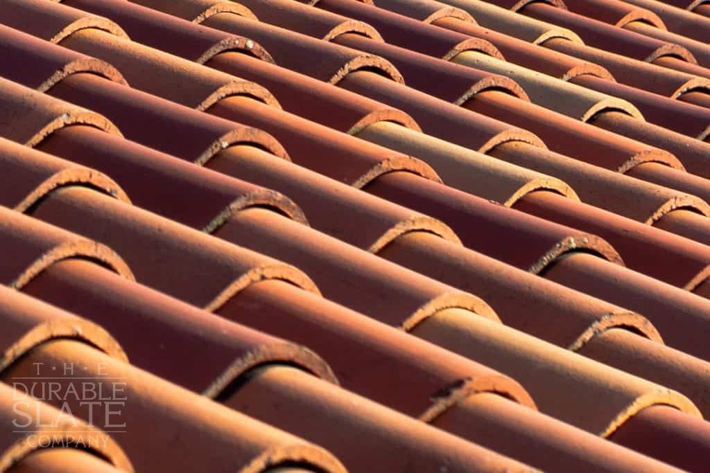 Maryland Zoo, Baltimore, MD clay roofing tile ultra close-up