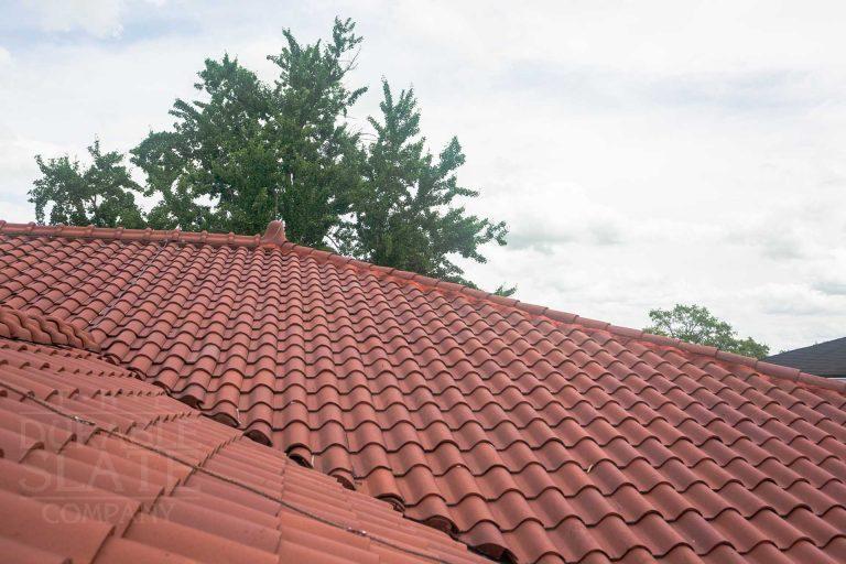 the roof of a building